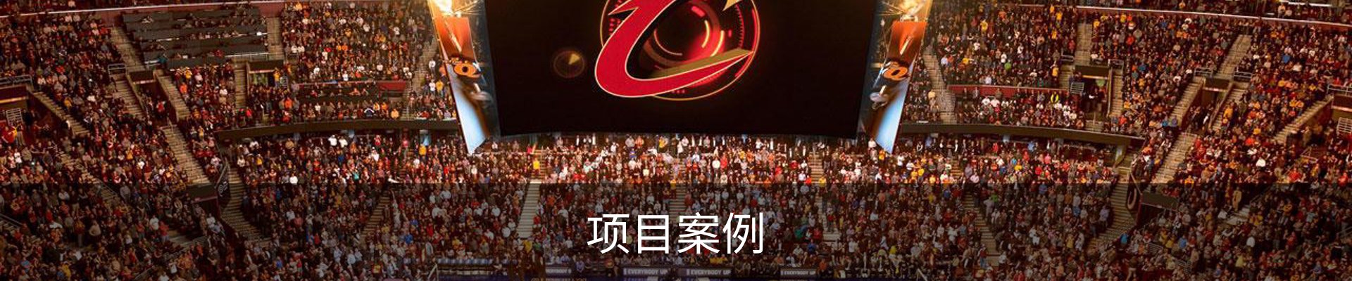 项目案例